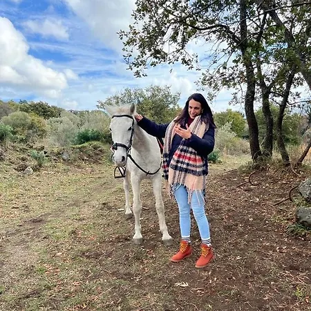 منزل ريفي Casina Dell'etna Ragalna